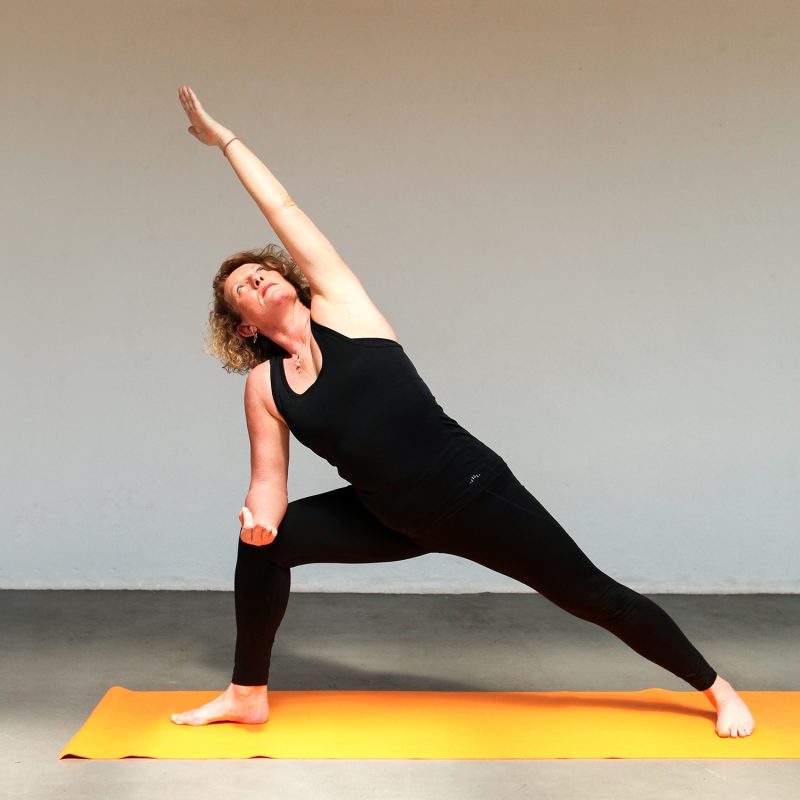 Hatha Yoga yogalessen les volgen staande houdingen en oefeningen bij Pristine Yoga en Pilates van lerares Nancy Adams in Waalwijk Tilburg Noord-Brabant